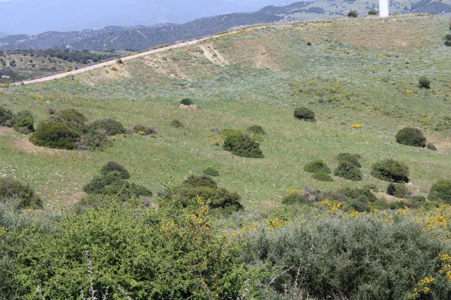 Tomt til salgs i San Martin del Tesorillo