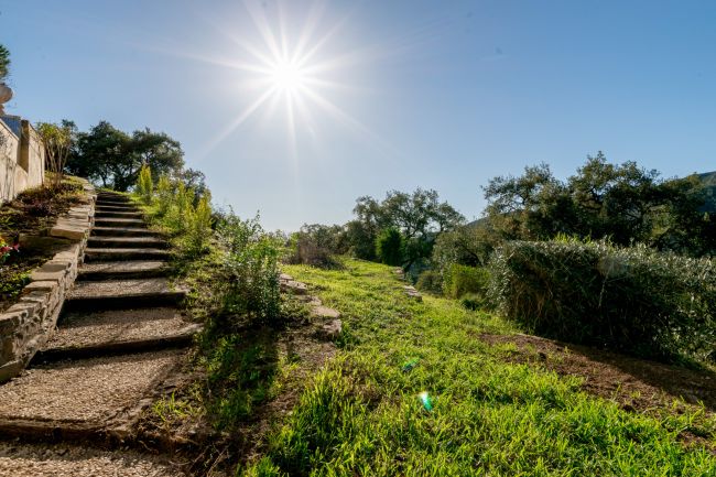 Finca til salgs i Casares
