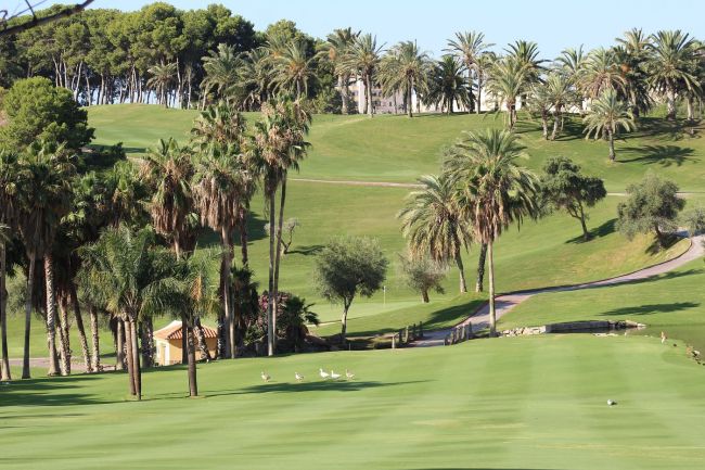 Geräumige 2-Zimmer-Wohnung in der Nähe des Torrequebrada Golfplatzes & fußläufig zum Strand