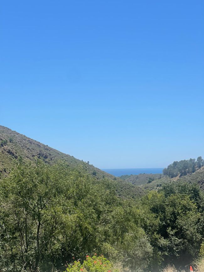 Plot for sale in Ojen