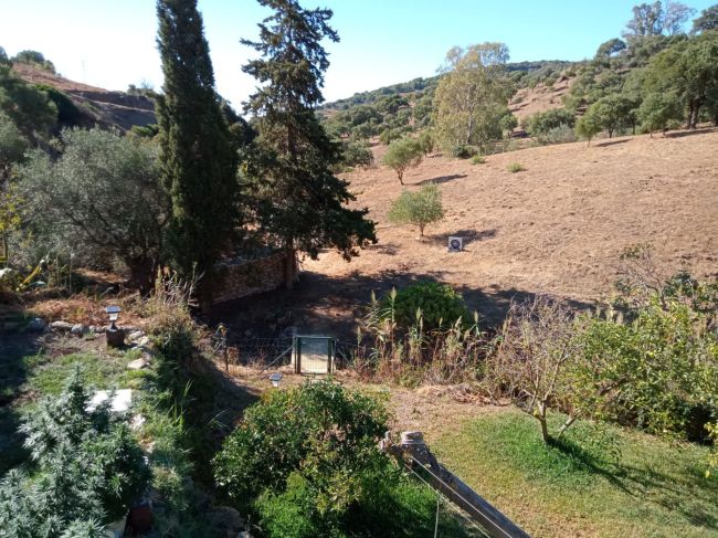 Charming Andalusian Finca in Casares