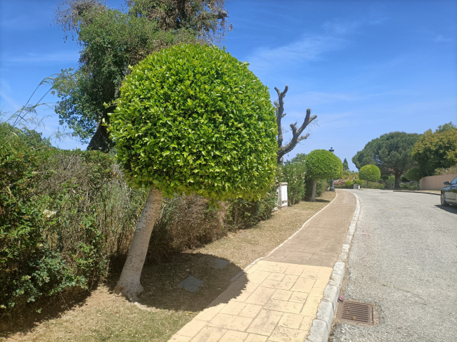 Villa zu verkaufen in San Roque Club