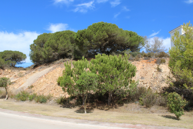 Plot with Spectacular Sea Views in Sotogrande