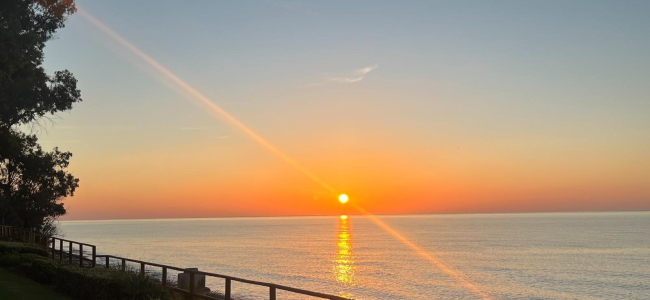 Spectacular Spacious ground floor apartment  in BEACHFRONT Urbanization in Estepona.