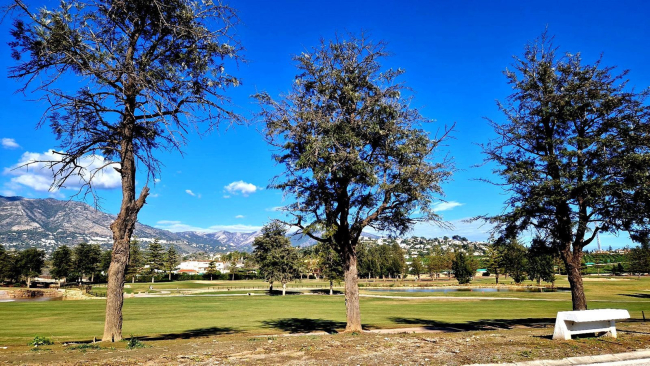 Mijas Golf 2 bedroom Apartment