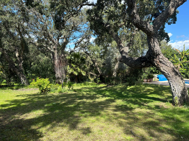 West-Facing Villa for Sale in Zona C, Sotogrande Alto