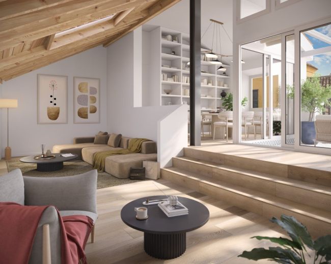 2 amazing apartments i Malaga historic center